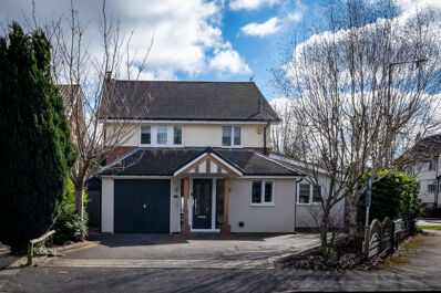 Modern Meets Country Decor