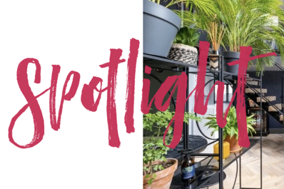 Sizzling Warwickshire