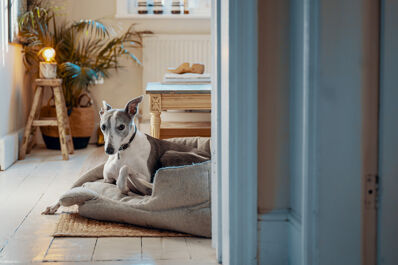 How boutique estate agents have revolutionised the housing market