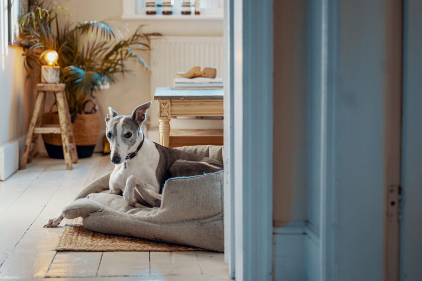 How boutique estate agents have revolutionised the housing market